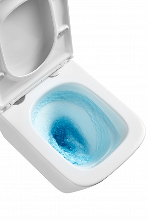 Подвесной унитаз безободковый Terminus Ватикан Монолит 490х340 белый Красногорск - фото 8