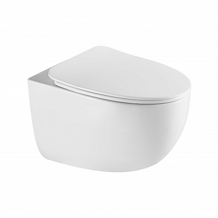 Подвесной унитаз безободковый Terminus Енисей Монолит 560х390 белый Красногорск - фото 2